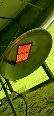 صرفه جویی در مصرف انرژی بخاری مرغ گوشتی LPG NG Biogas Gas Poultry Brooder Equipment